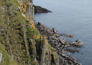 Puffins nesting on the Shiants Cliff face with puffins