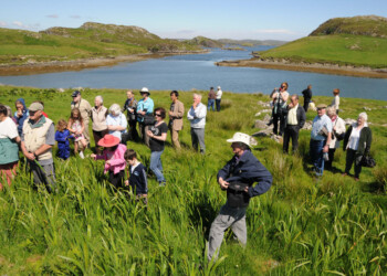 Group walking through long grass