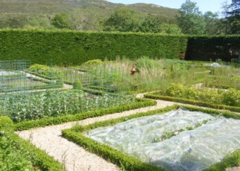 Eiskein gardens Garden surrounded by hedge